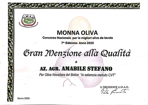 Concorso Monna Oliva 2020, gran mezione qualità per Olive in Salamoia Azienda Agricola Amabile